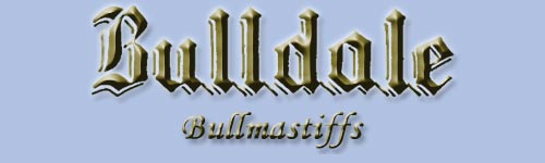 Kennel Bulldale bullmastiffit