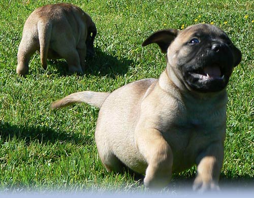 Welcome to our site - Tervetuloa sivuillemme