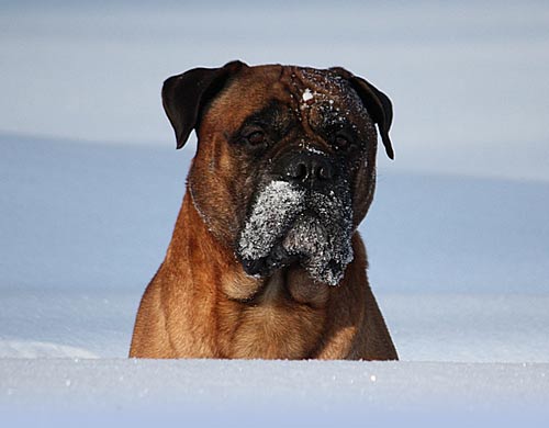 Welcome to our site - Tervetuloa sivuillemme