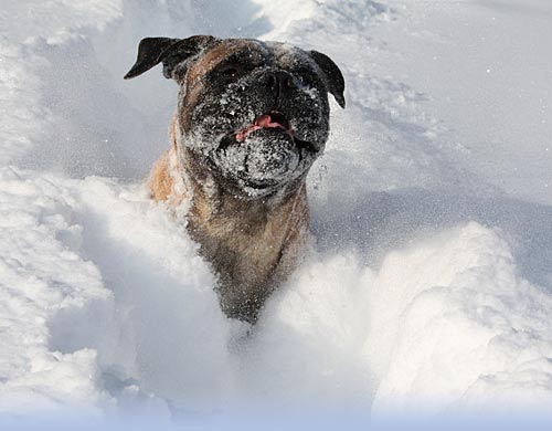 Welcome to our site - Tervetuloa sivuillemme