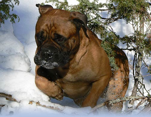 Welcome to our site - Tervetuloa sivuillemme