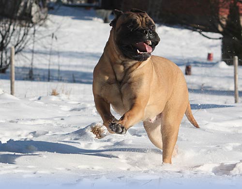 Welcome to our site - Tervetuloa sivuillemme