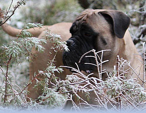 Welcome to our site - Tervetuloa sivuillemme